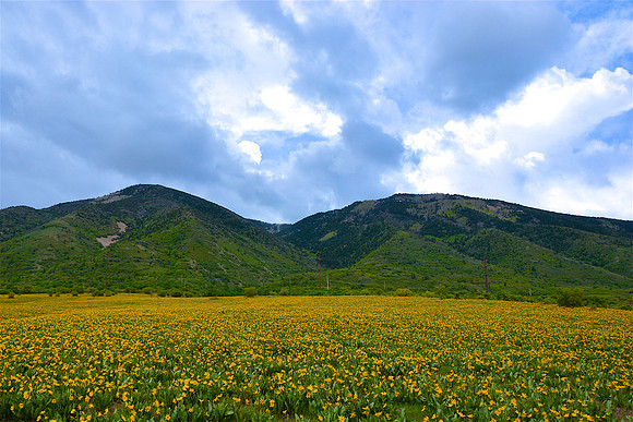 Oquirrh Mountains