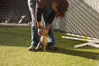 Having fun at the shelter