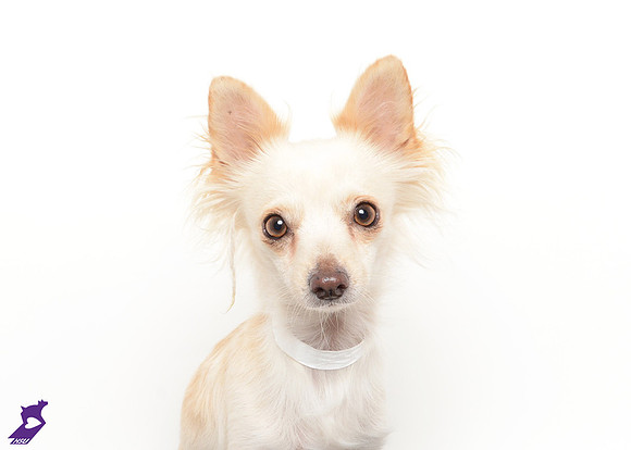 CharlieA126510