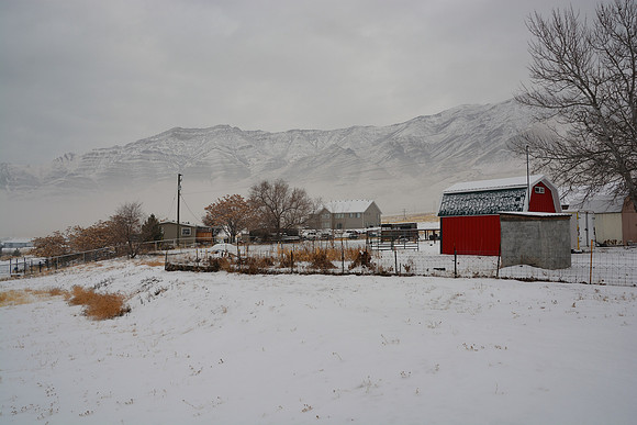 DSC_7483