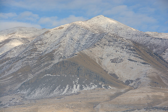 DSC_7494
