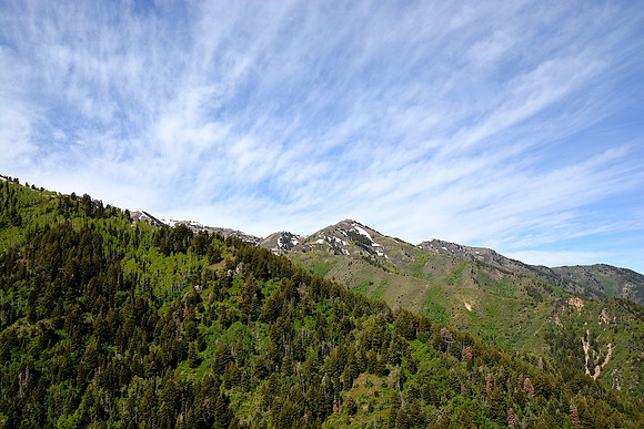 DSC_8823 (1)