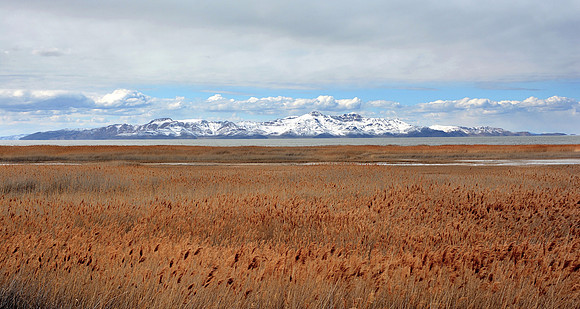Stansbury Island