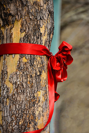 Ribbon