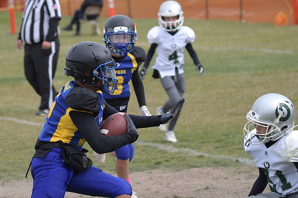 DSC_2458